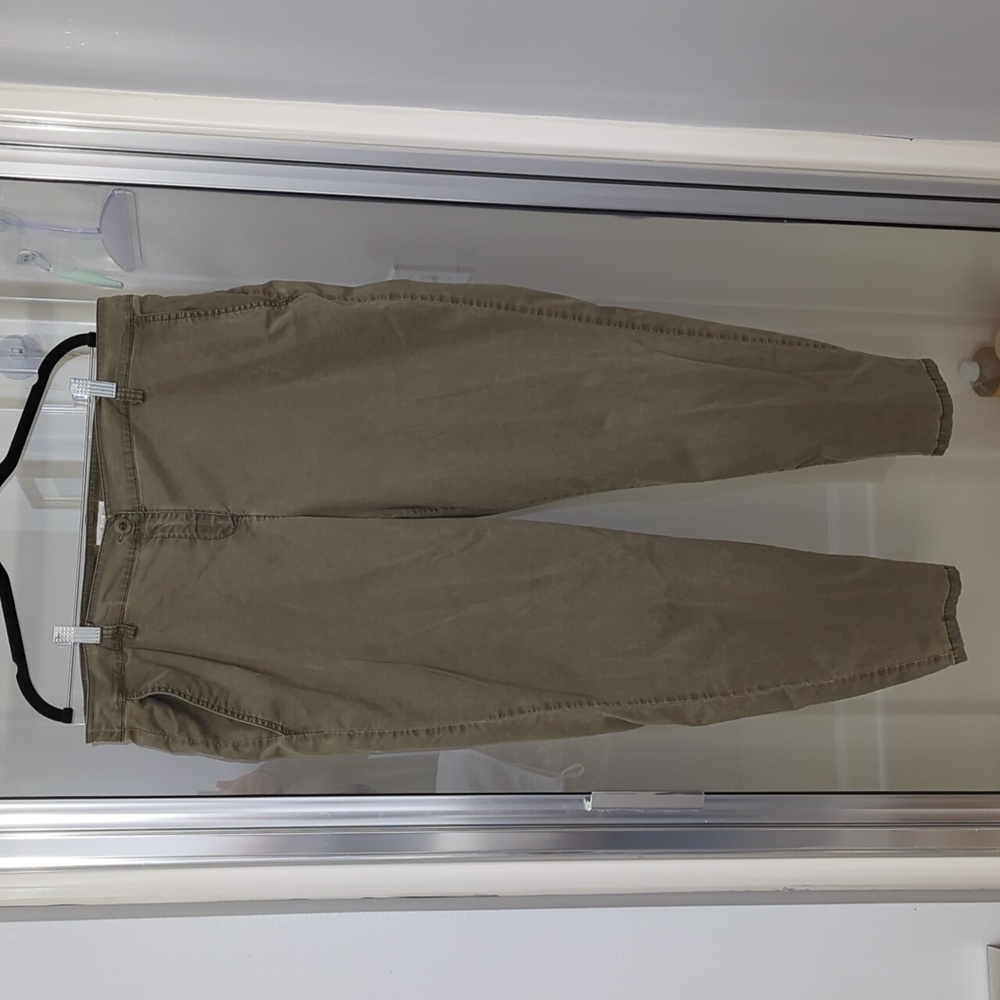 XL Eileen Fisher Olive Green pants